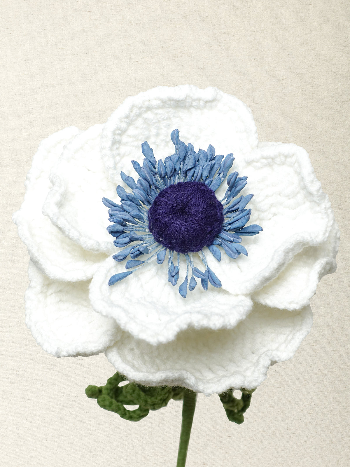 Anemone · 3 colours
