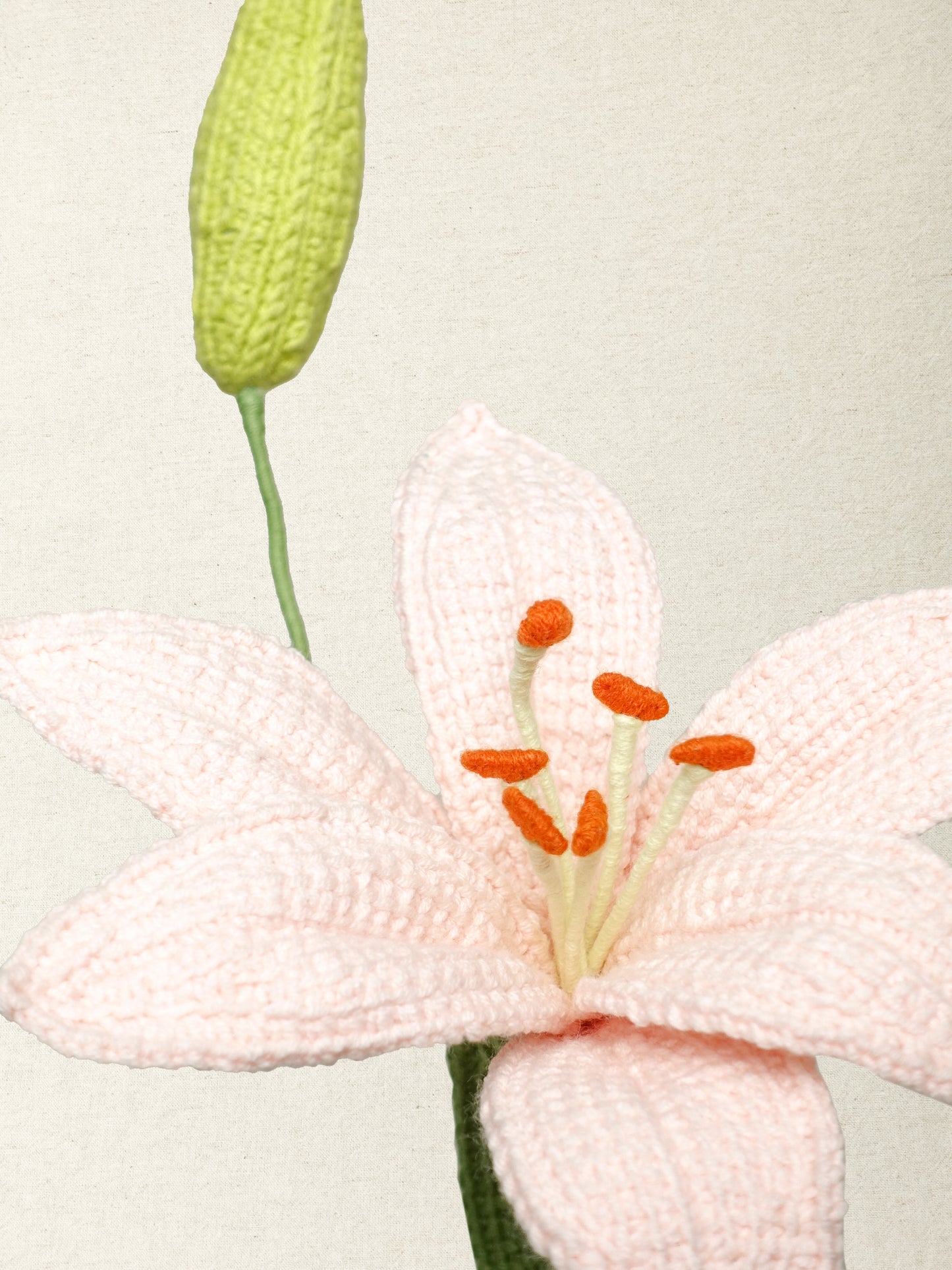 Lily · 2 colours