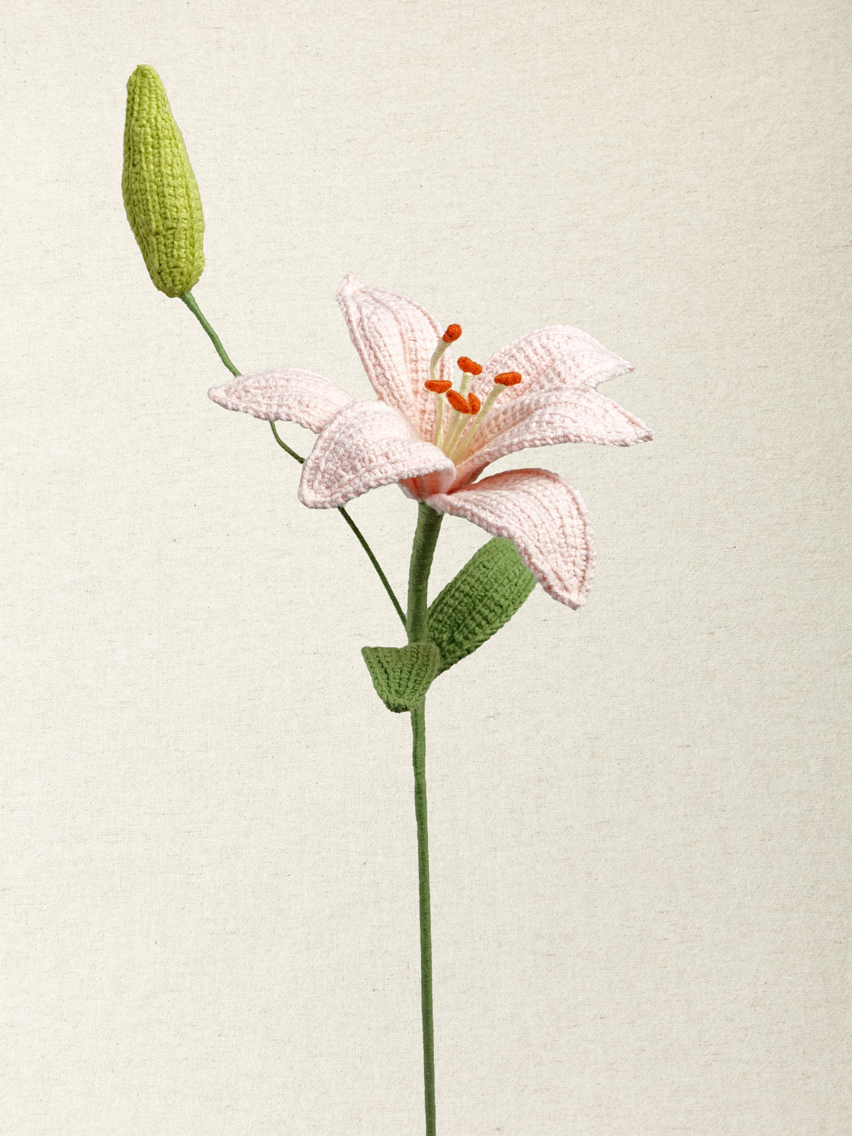 Lily · 2 colours