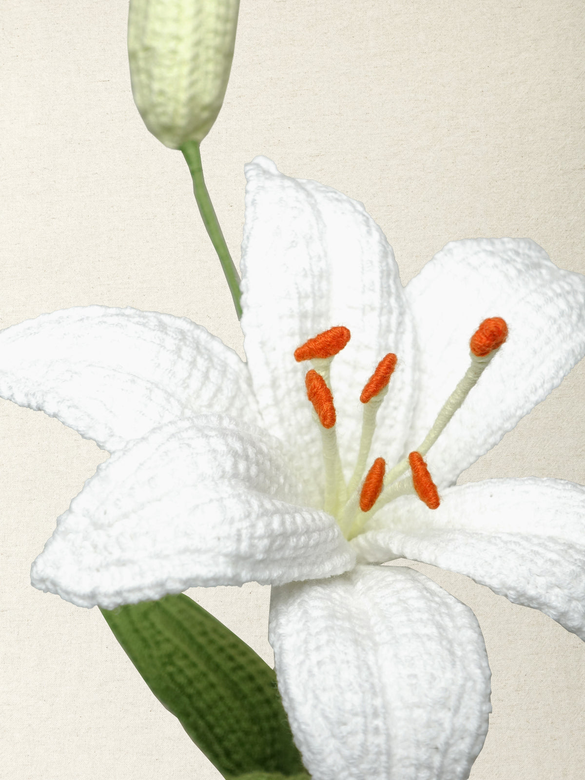 Lily · 2 colours