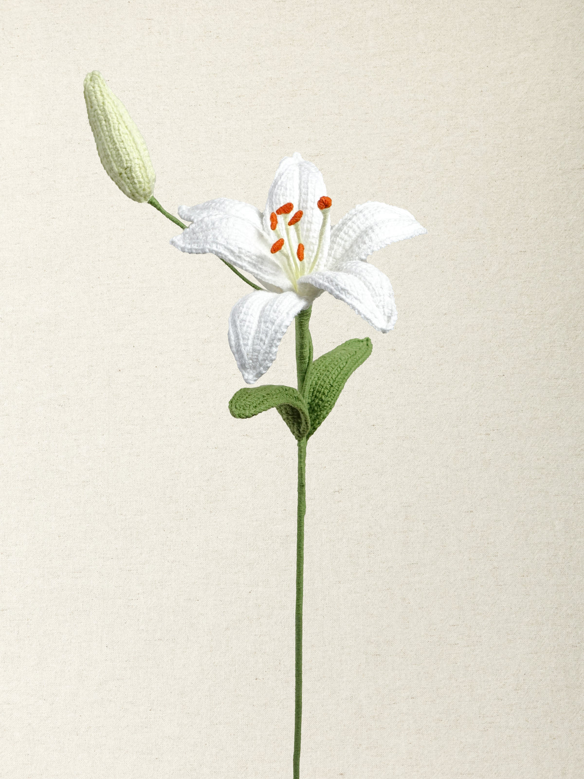 Lily · 2 colours