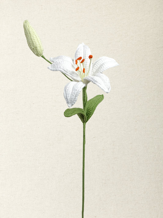 Lily · 2 colours
