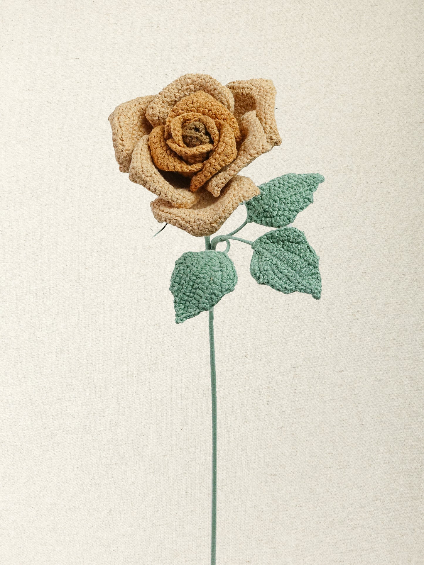 Artisan Rose · 4 colours