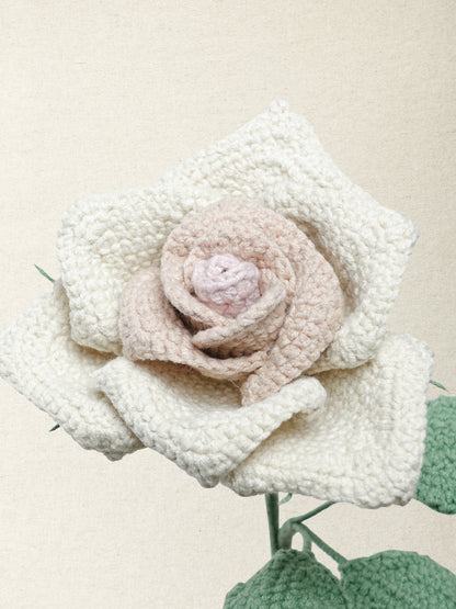 Artisan Rose · 4 colours