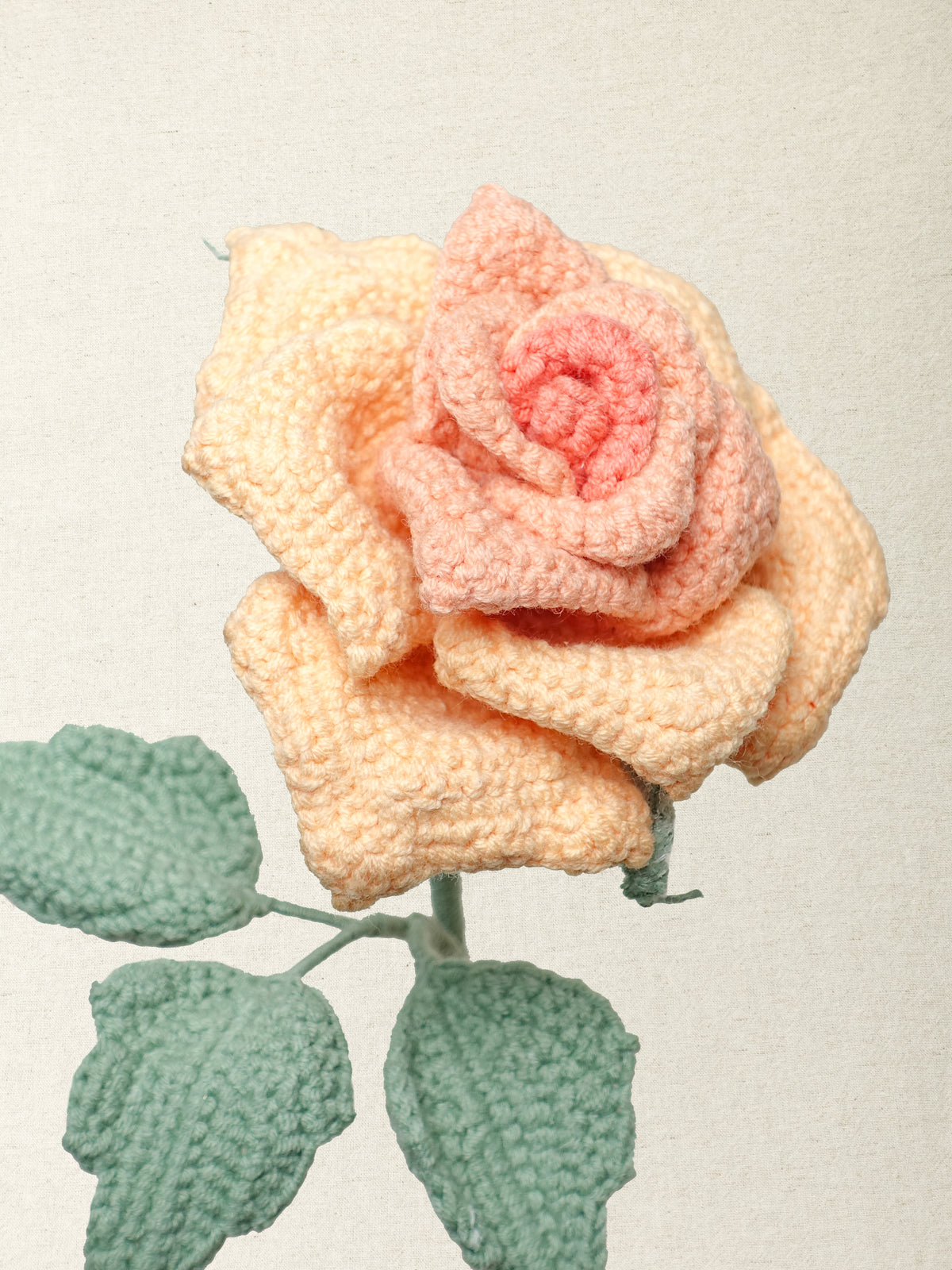 Artisan Rose · 4 colours