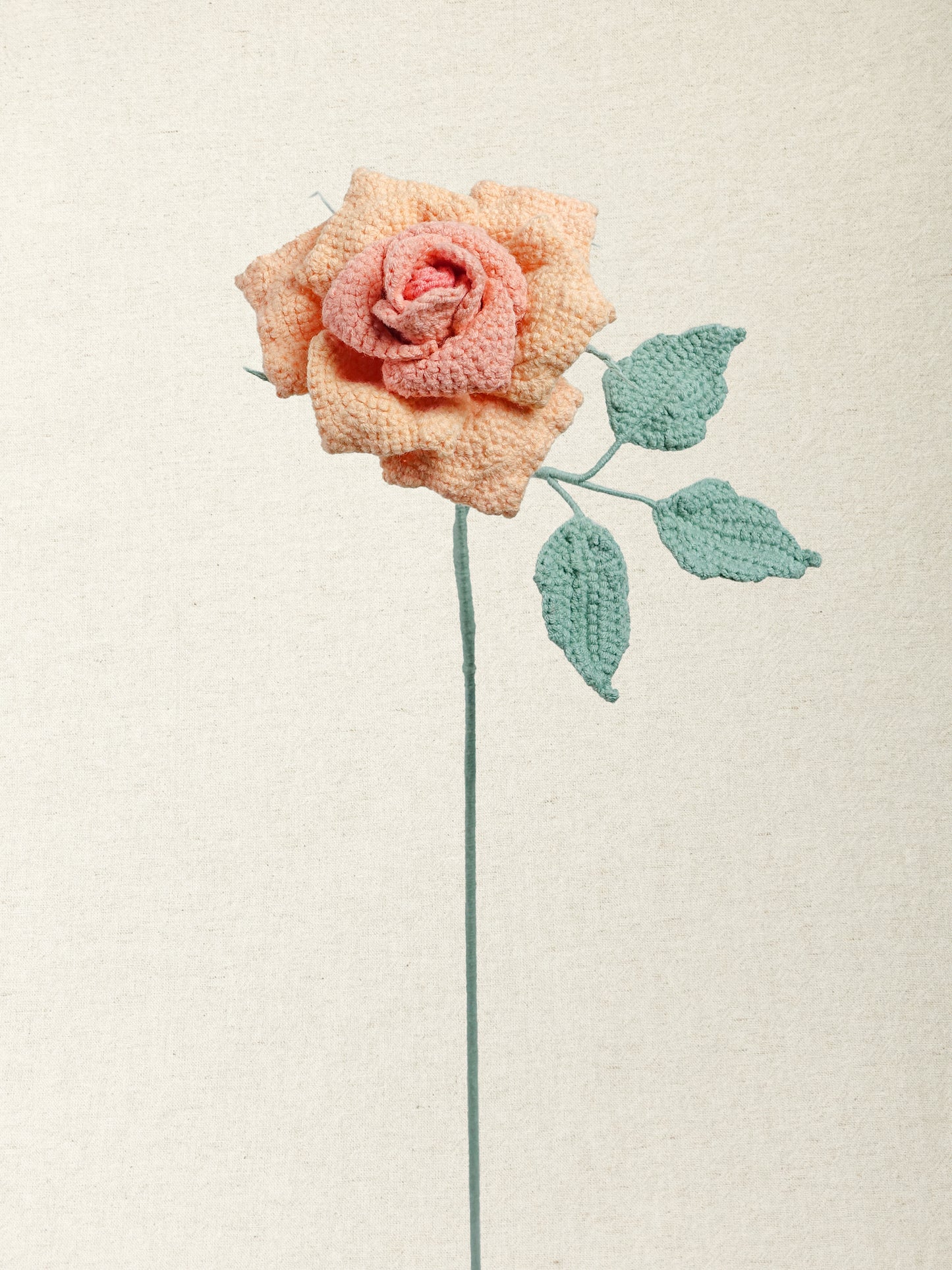 Artisan Rose · 4 colours