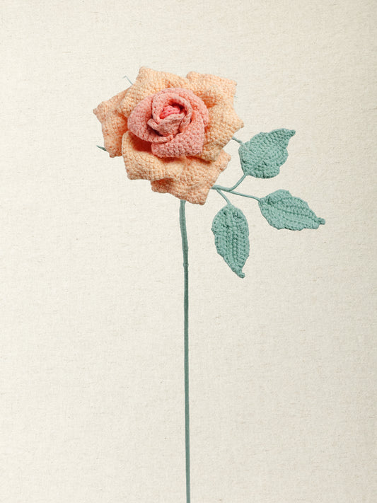Artisan Rose · 4 colours