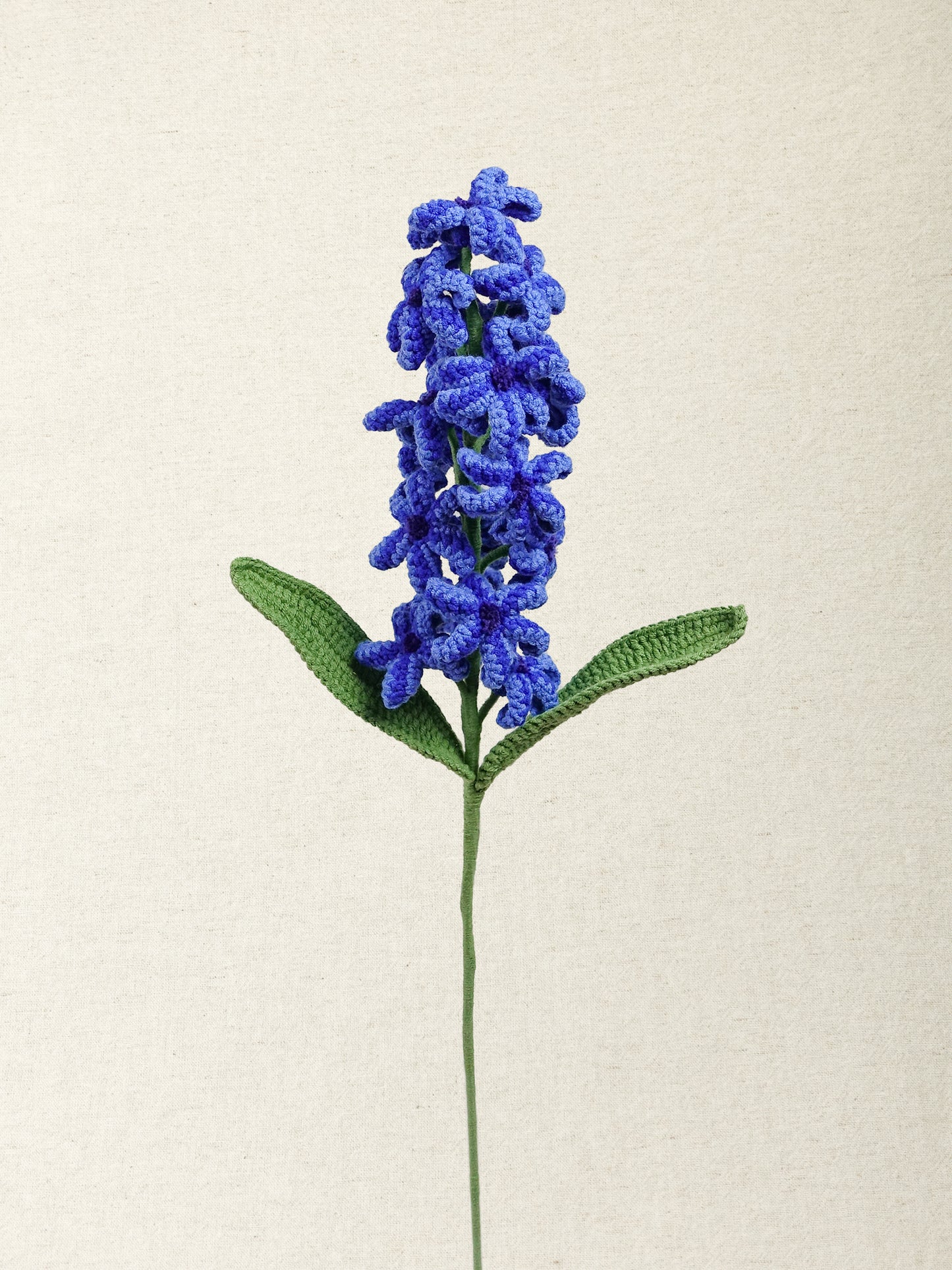 Hyacinth · 4 colours