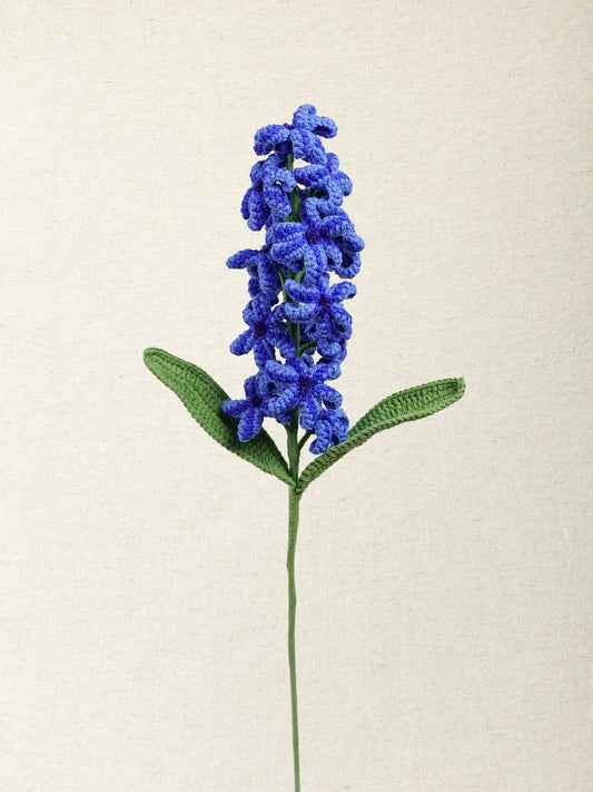 Hyacinth · 4 colours