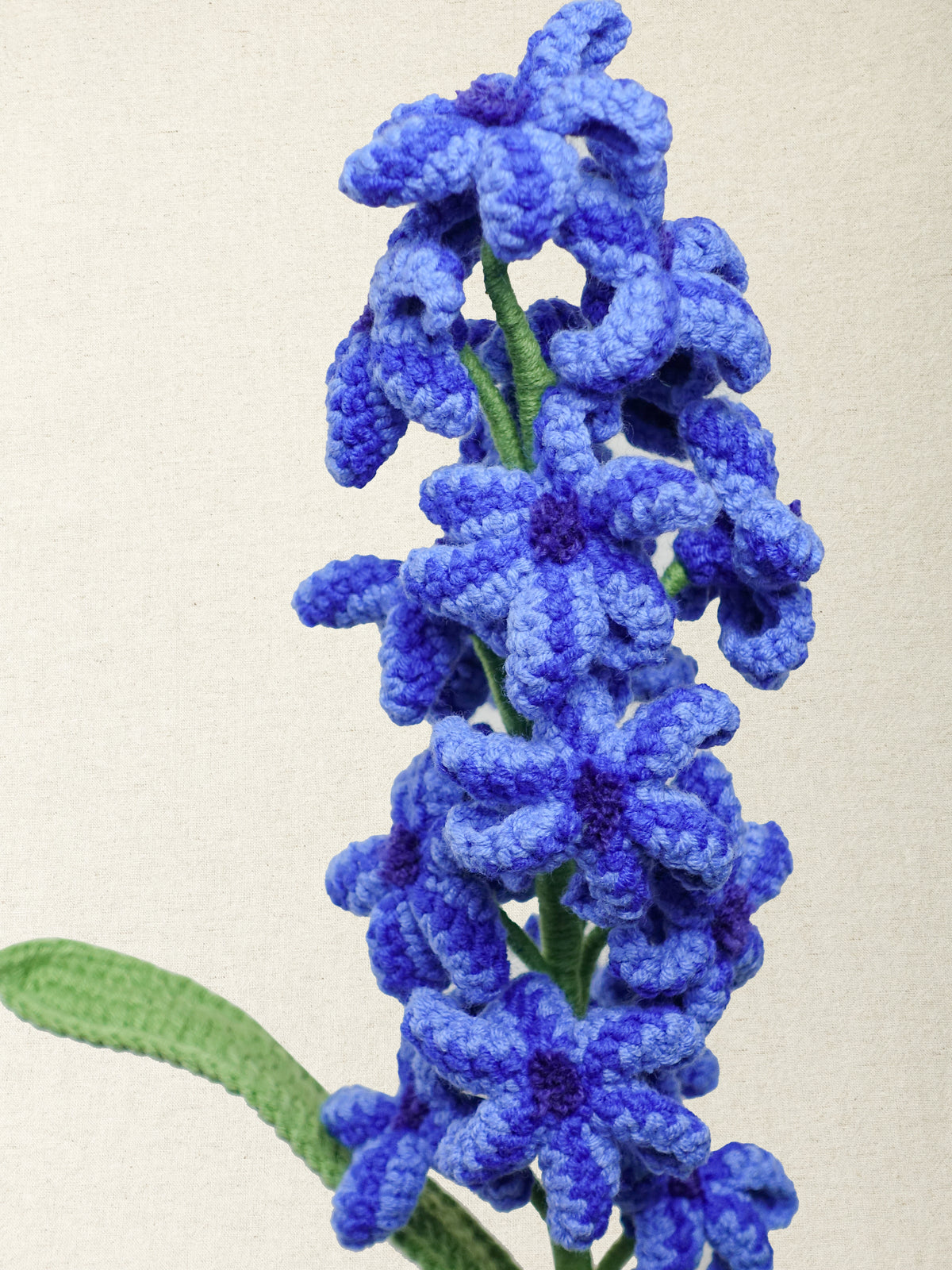 Hyacinth · 4 colours