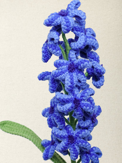 Hyacinth · 4 colours