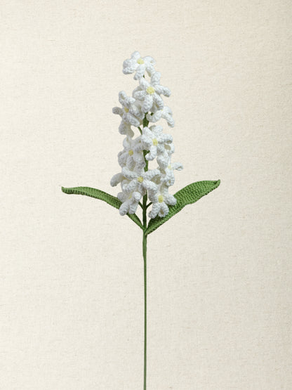 Hyacinth · 4 colours