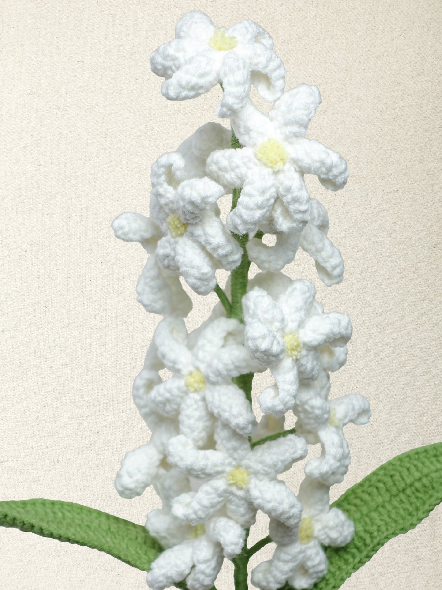 Hyacinth · 4 colours