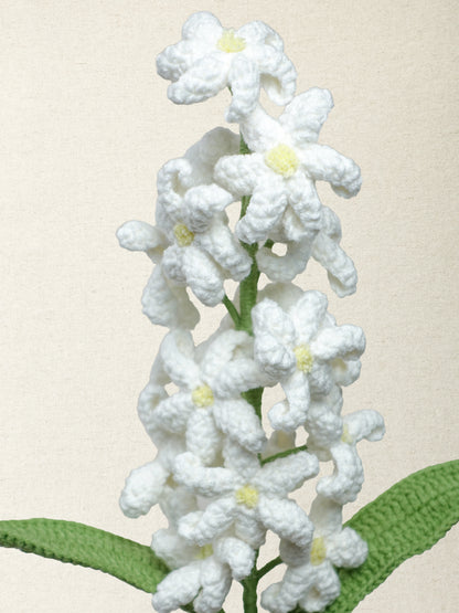 Hyacinth · 4 colours