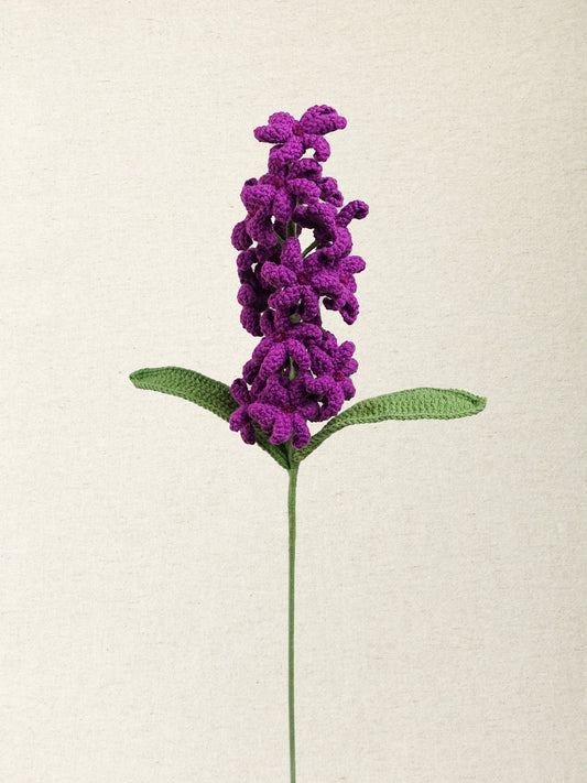 Hyacinth · 4 colours