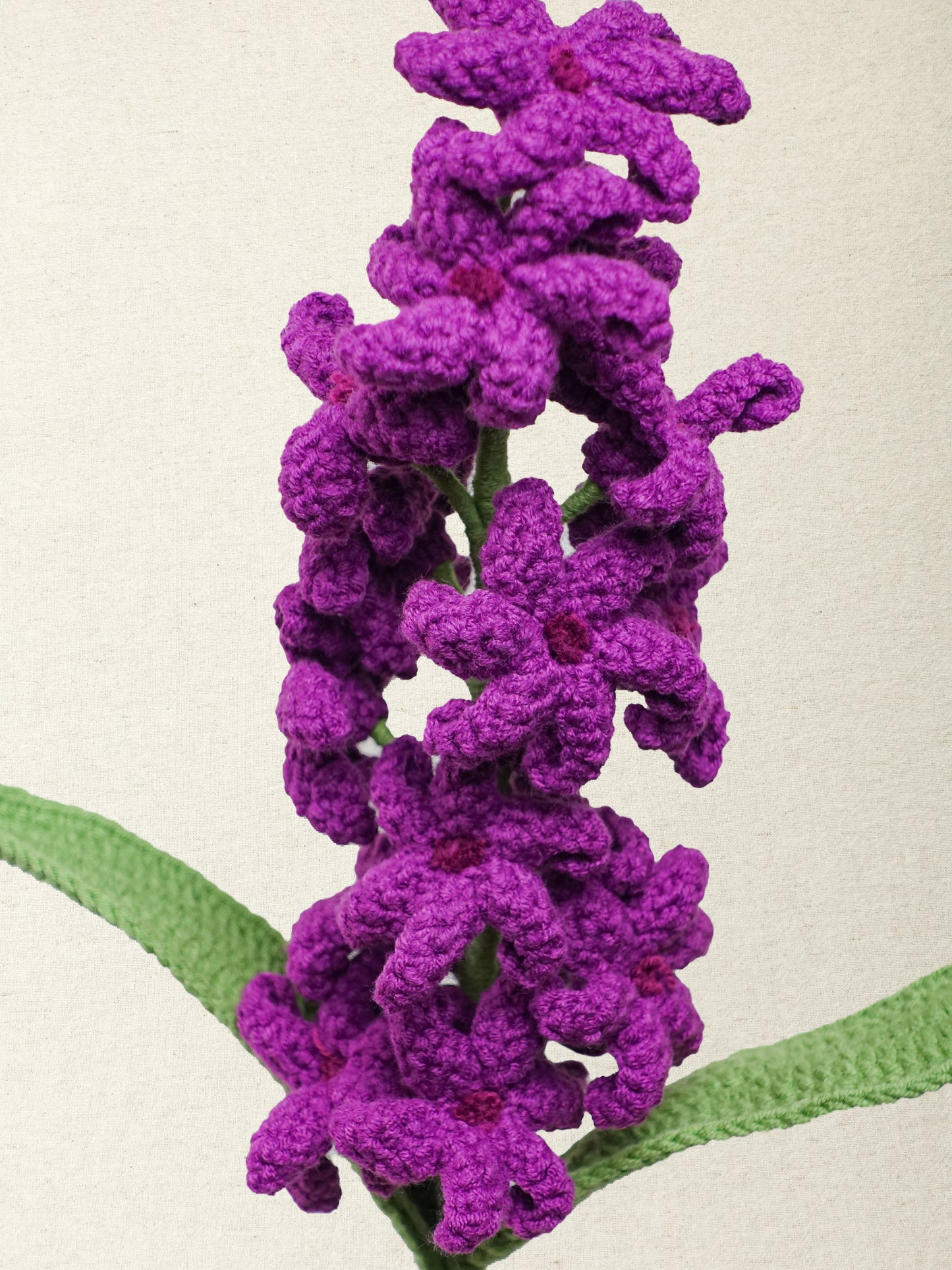 Hyacinth · 4 colours