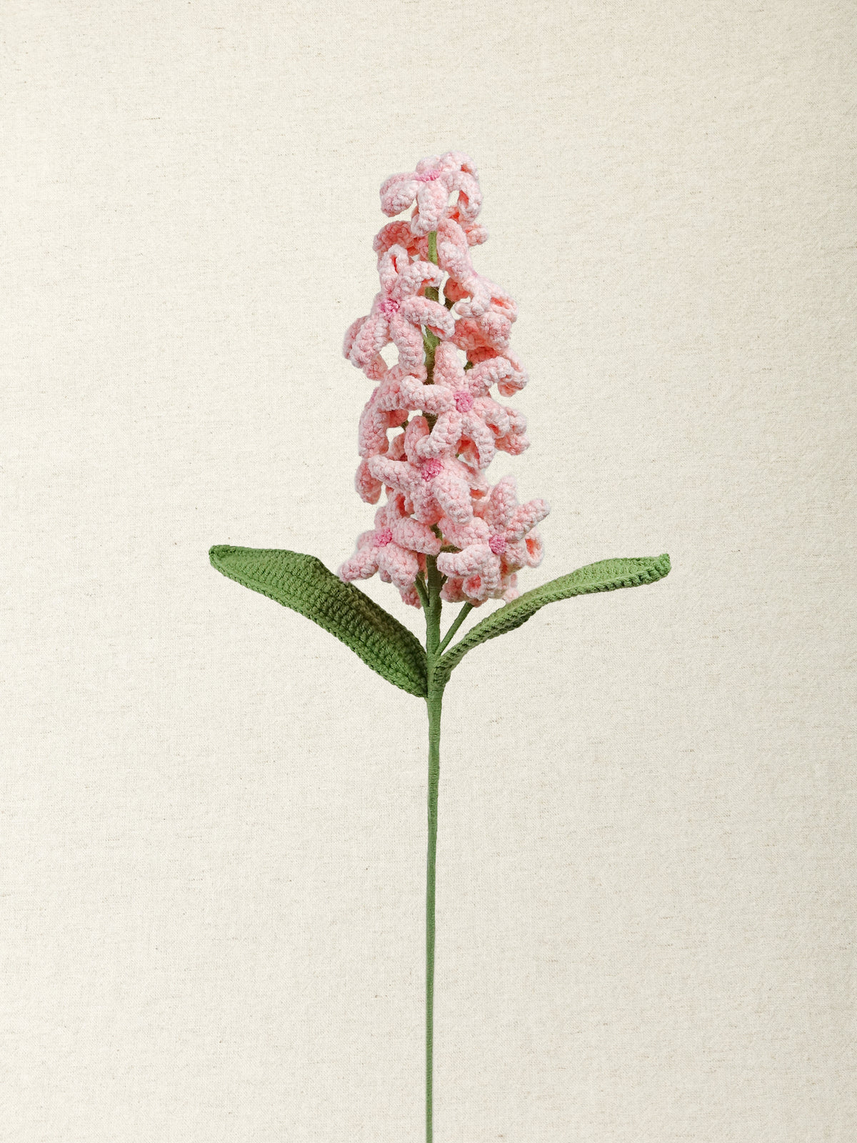 Hyacinth · 4 colours
