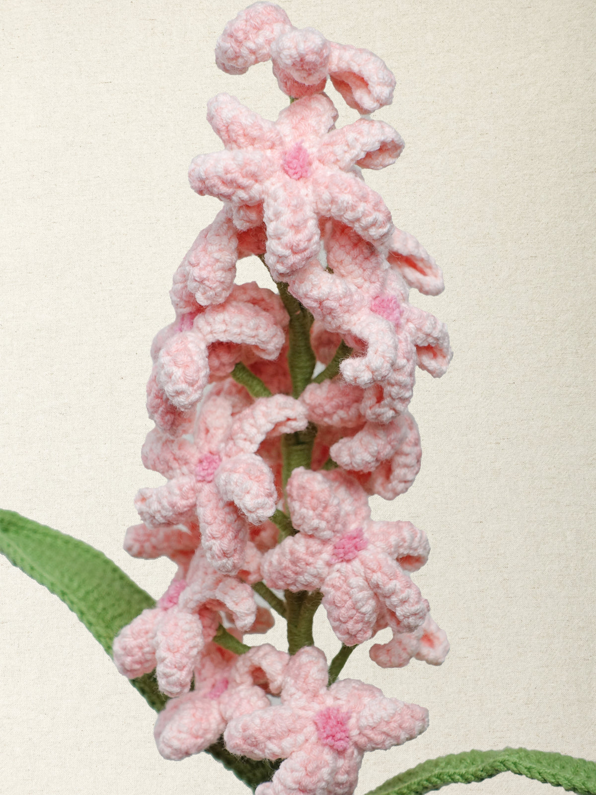 Hyacinth · 4 colours