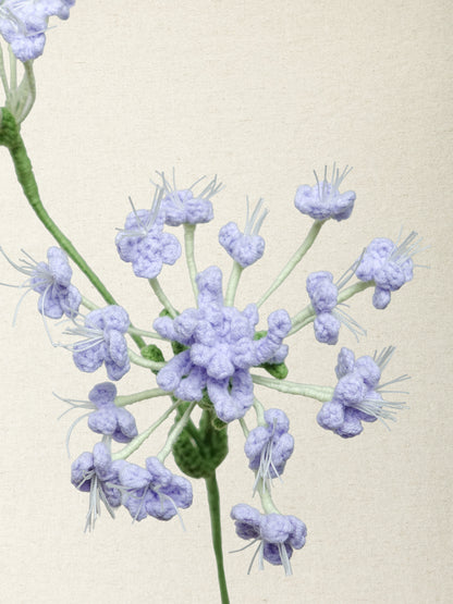 Queen Anne's Lace · 2 colours