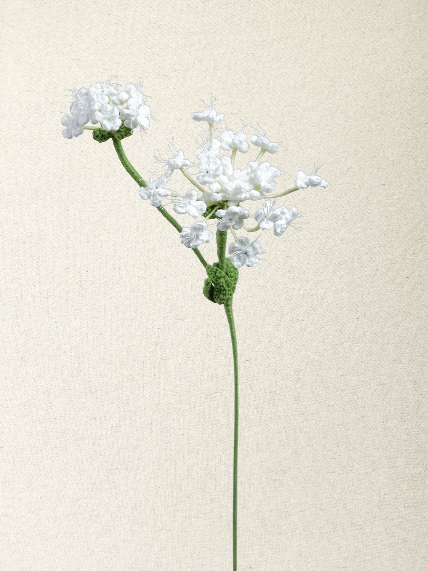 Queen Anne's Lace · 2 colours