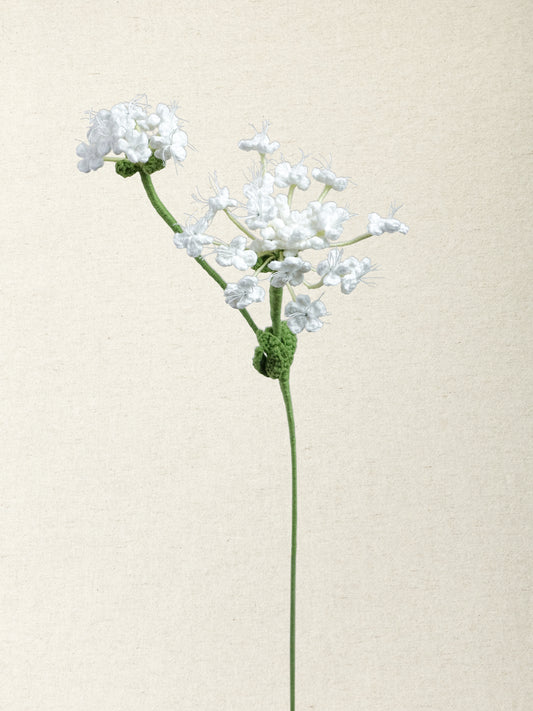 Queen Anne's Lace · 2 colours