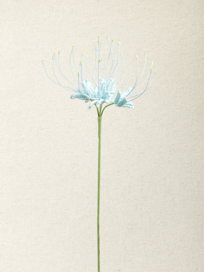 Spider Lily  · 4 colours