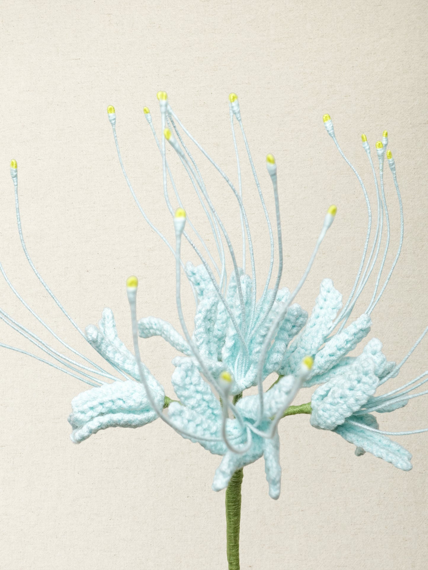 Spider Lily  · 4 colours