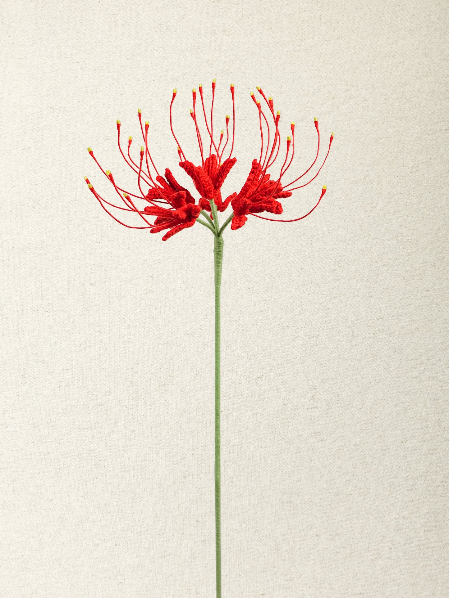Spider Lily  · 4 colours