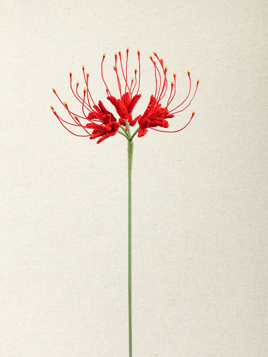 Spider Lily  · 4 colours