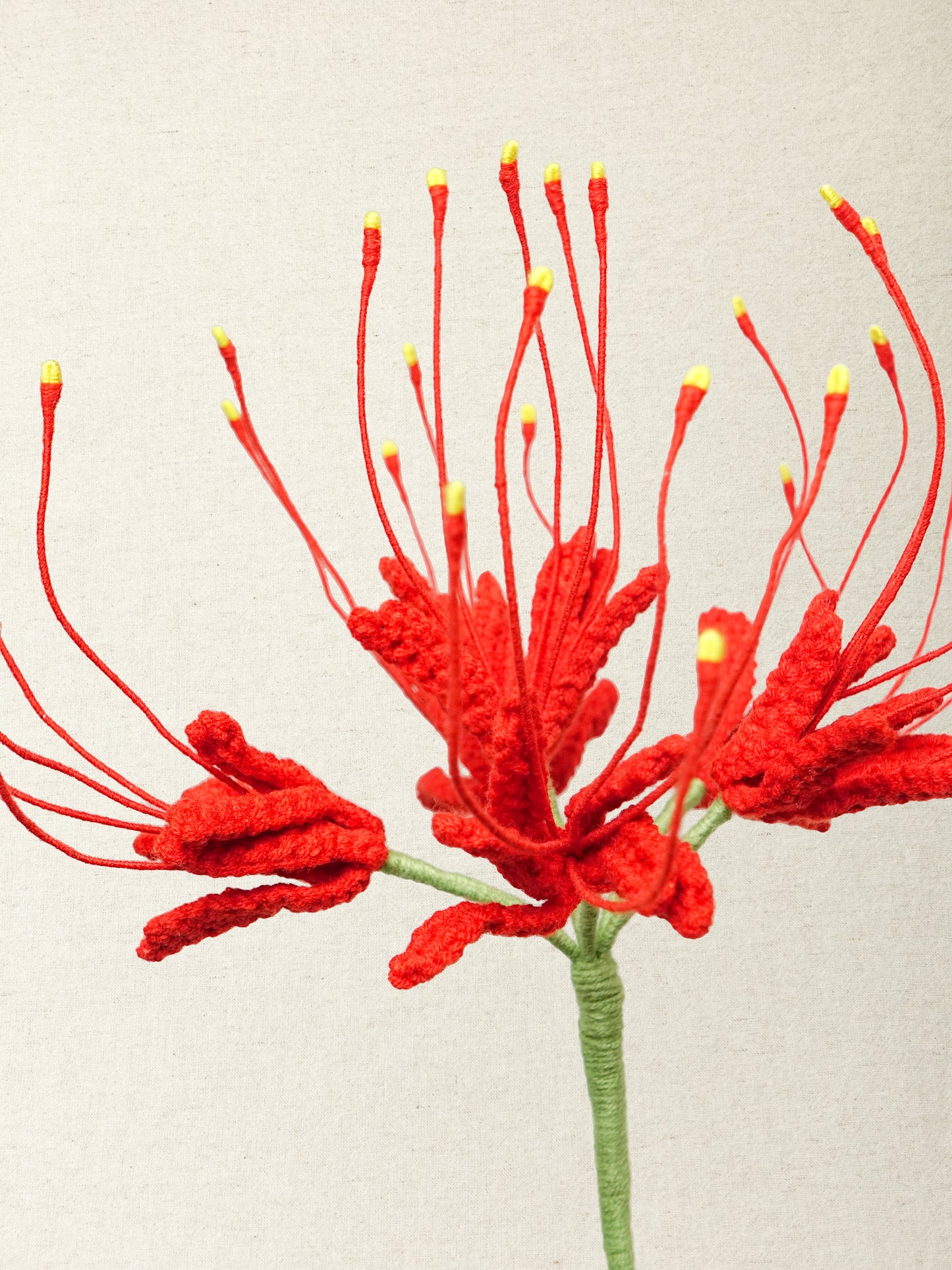 Spider Lily  · 4 colours