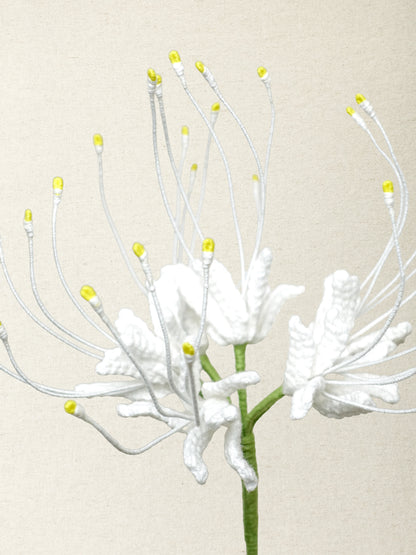 Spider Lily  · 4 colours