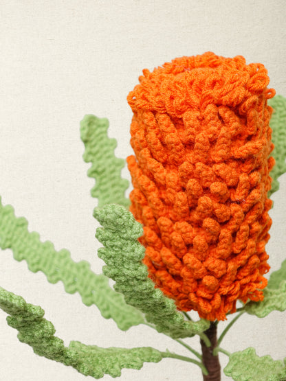 Banksia