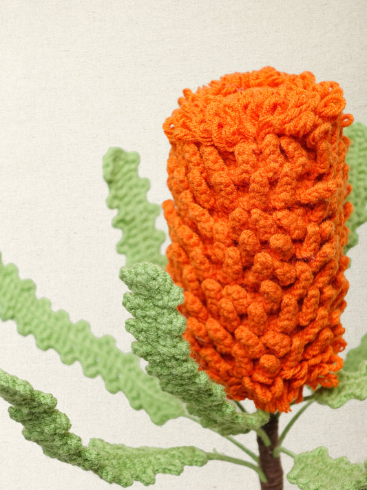Banksia