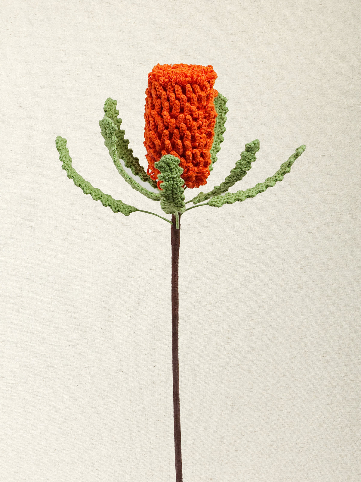 Banksia