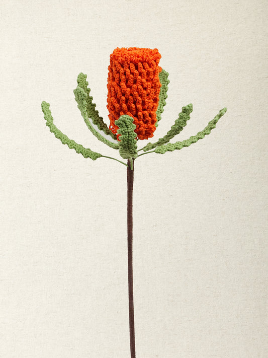 Banksia