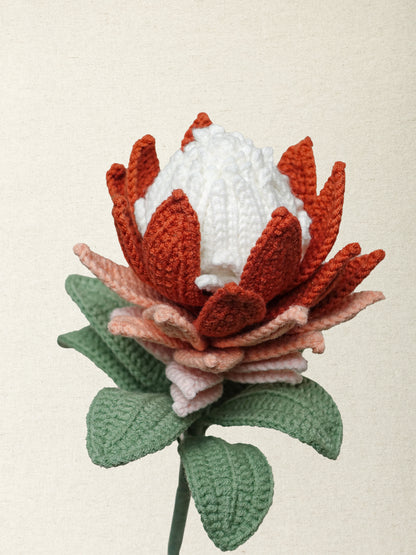 Protea