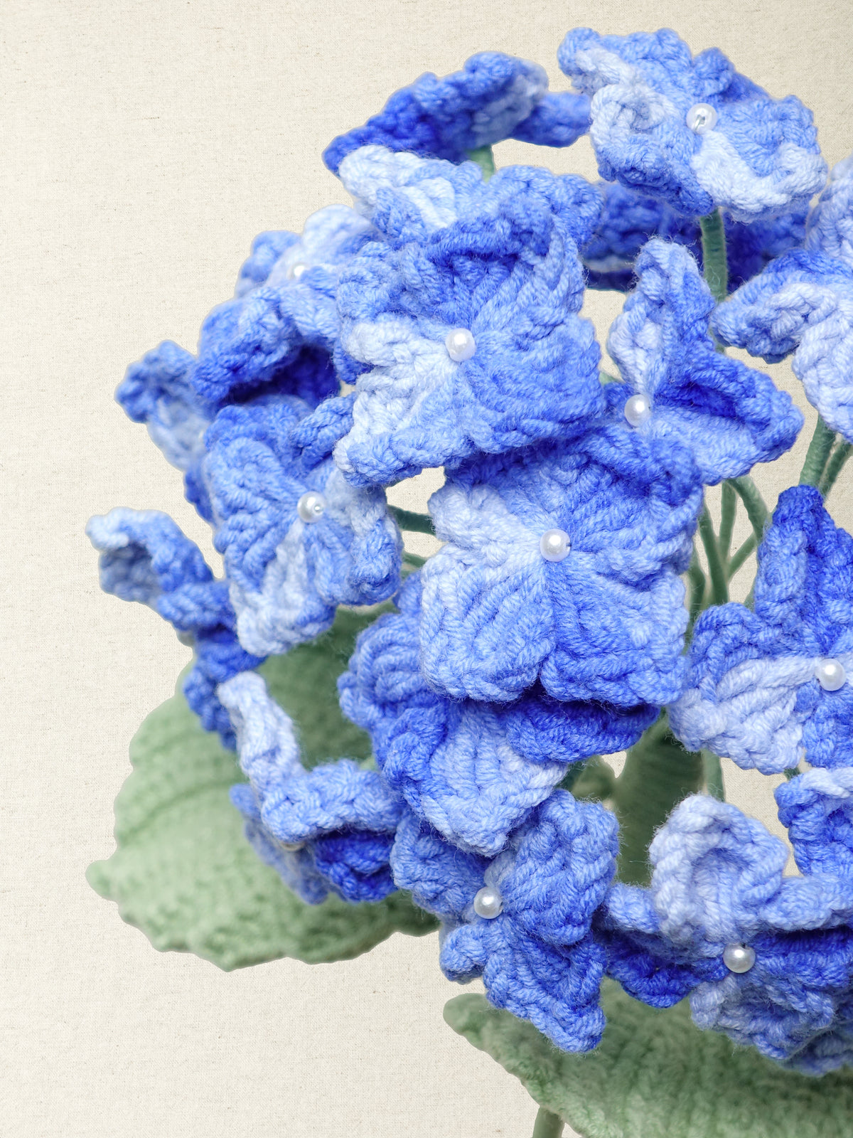 Hydrangea · 2 colours