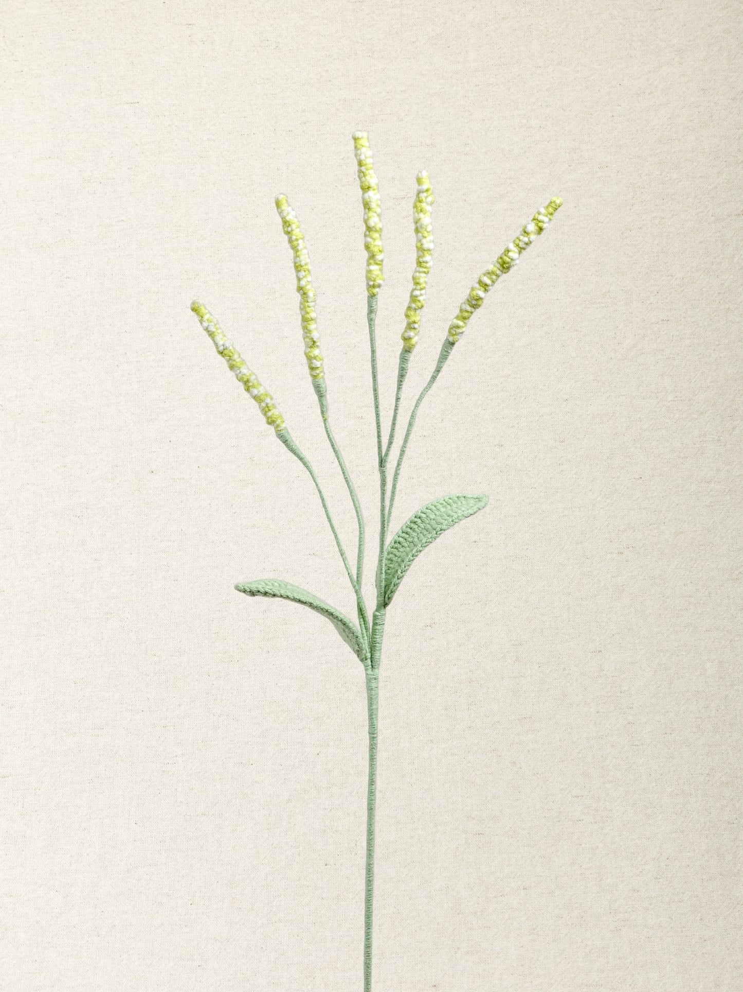 Persicaria