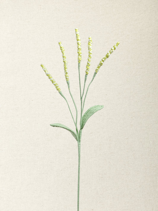 Persicaria