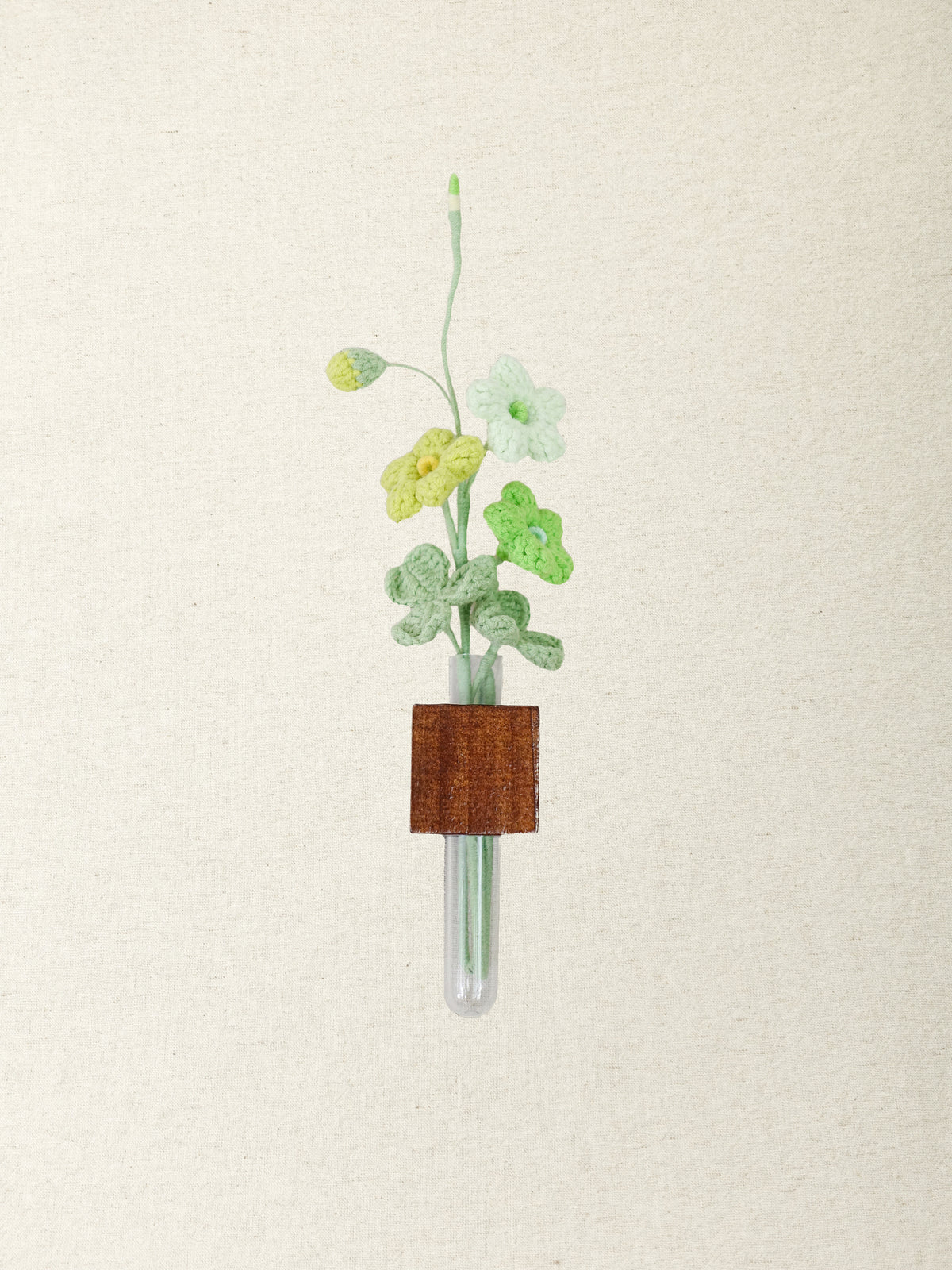Oxalis Magnet