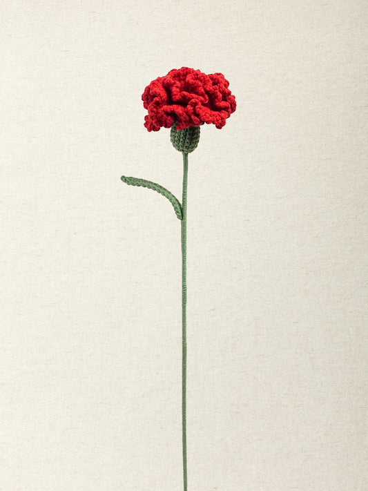 Carnation · 2 colours
