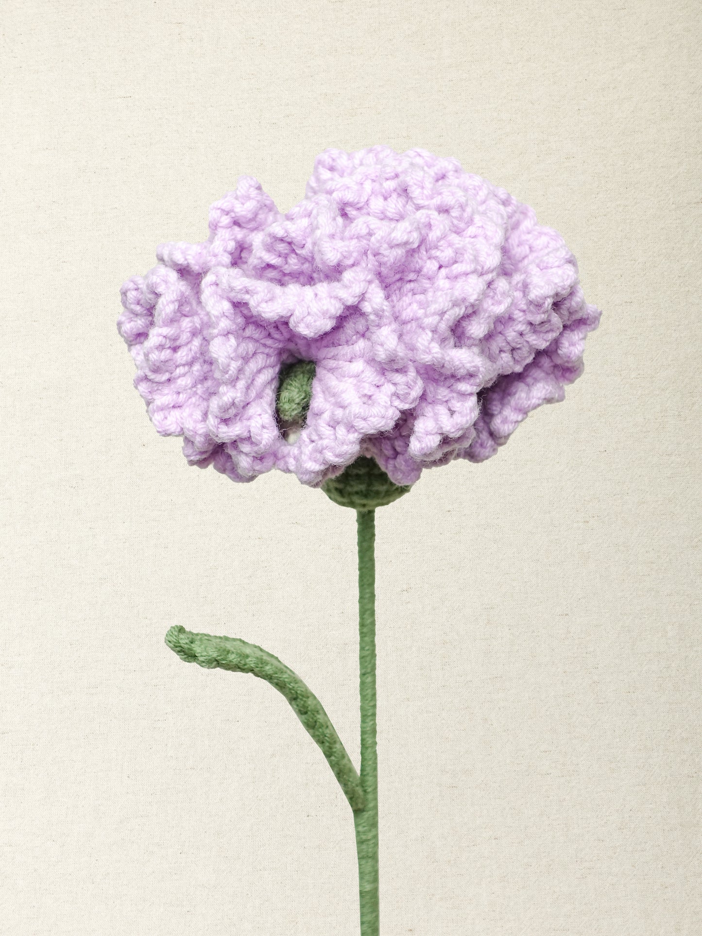 Carnation · 2 colours