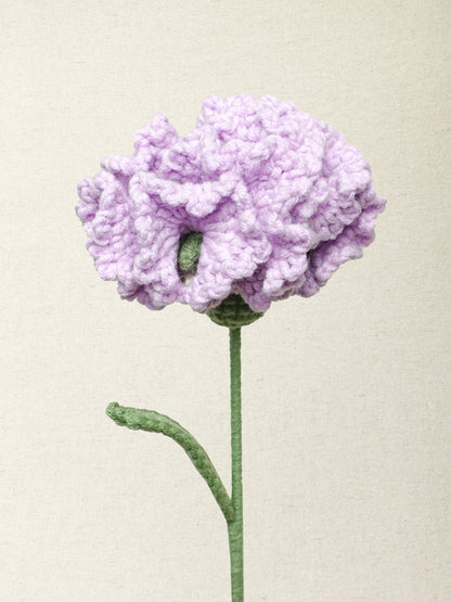 Carnation · 2 colours