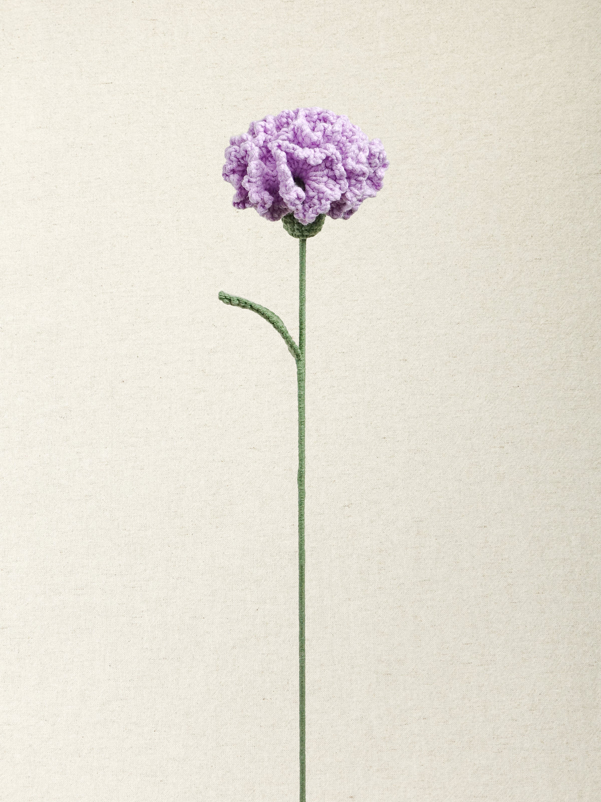 Carnation · 2 colours