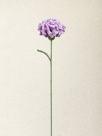 Carnation · 2 colours