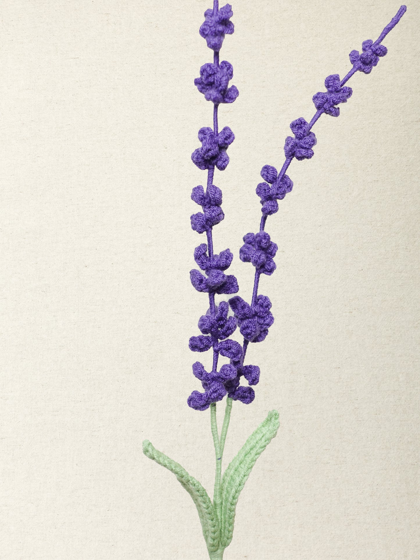 Lavender · 4 colours