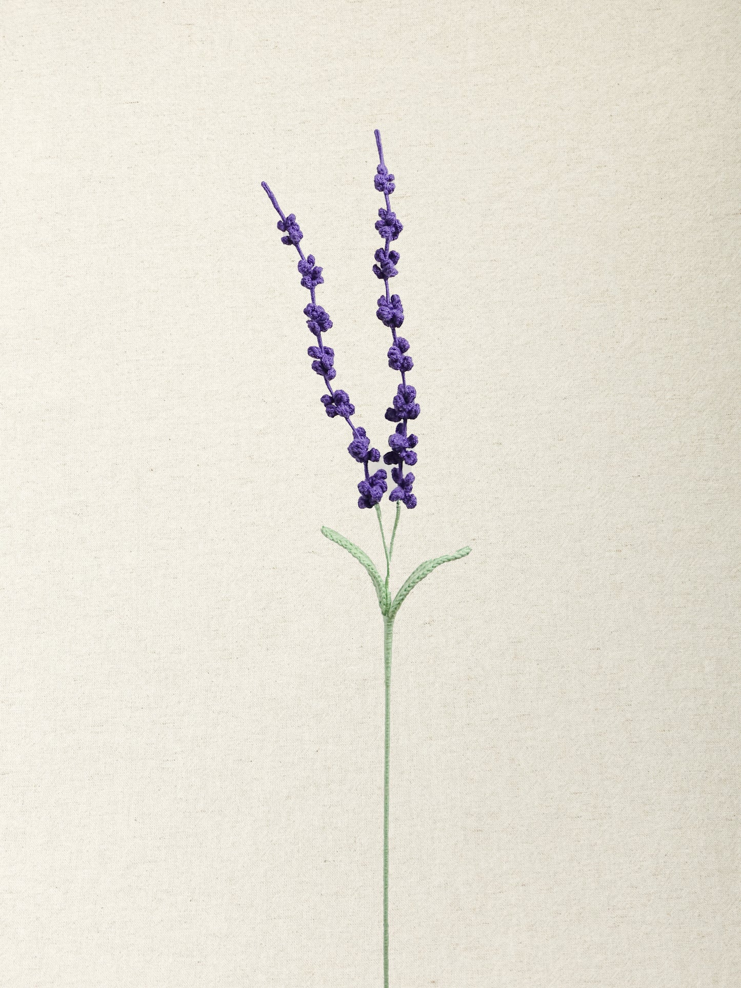 Lavender · 4 colours