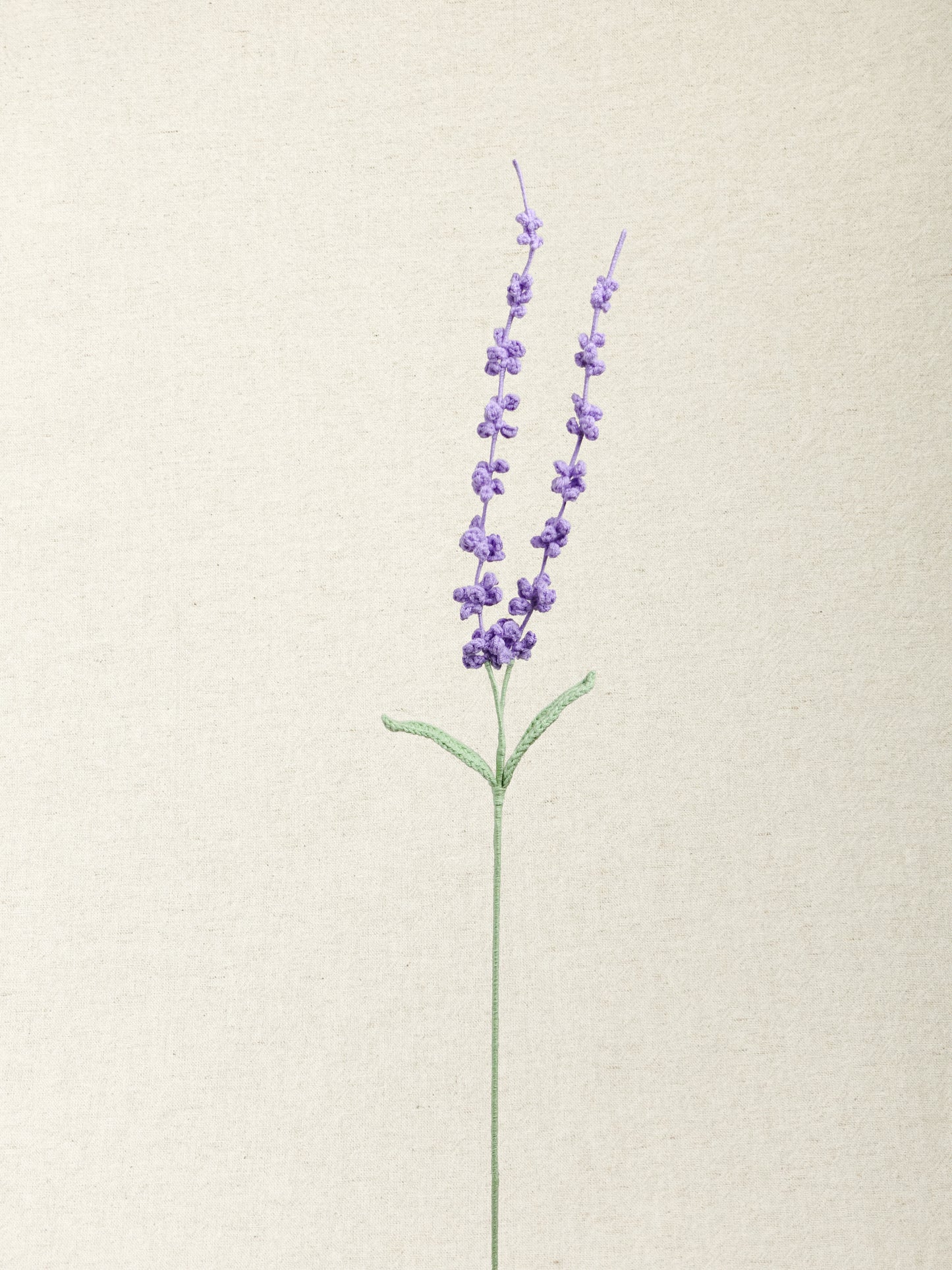 Lavender · 4 colours