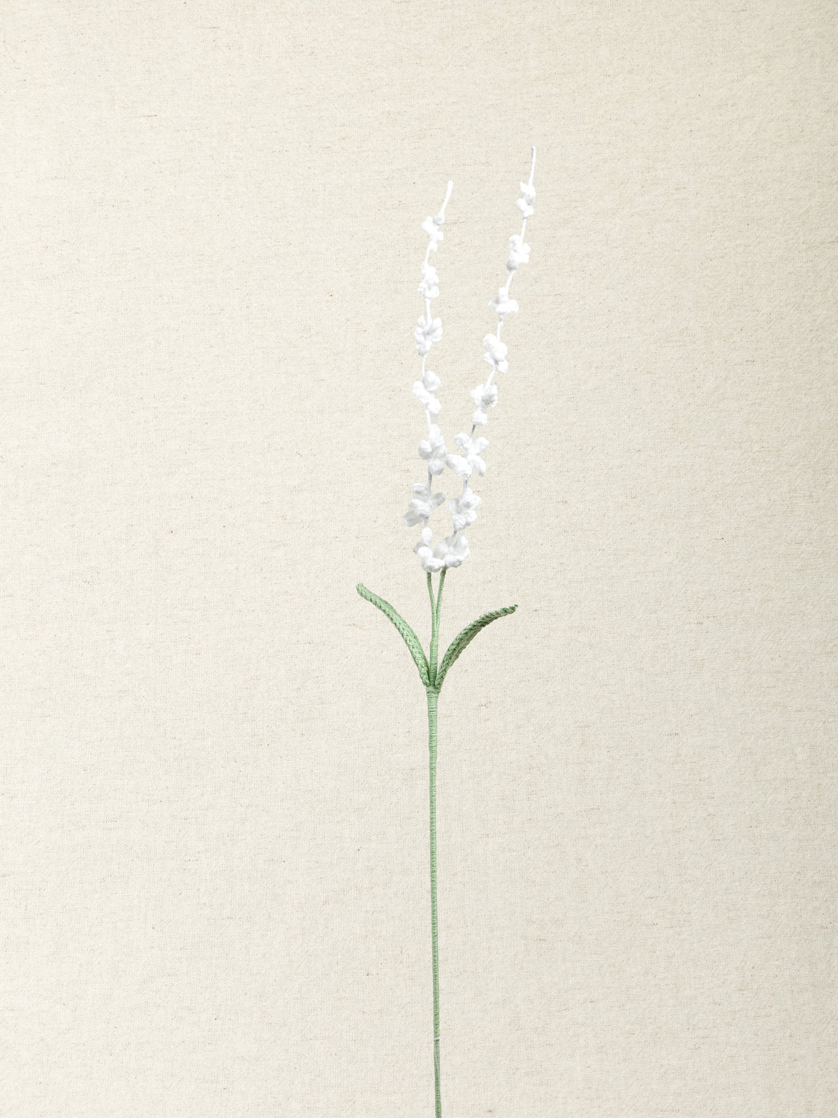 Lavender · 4 colours