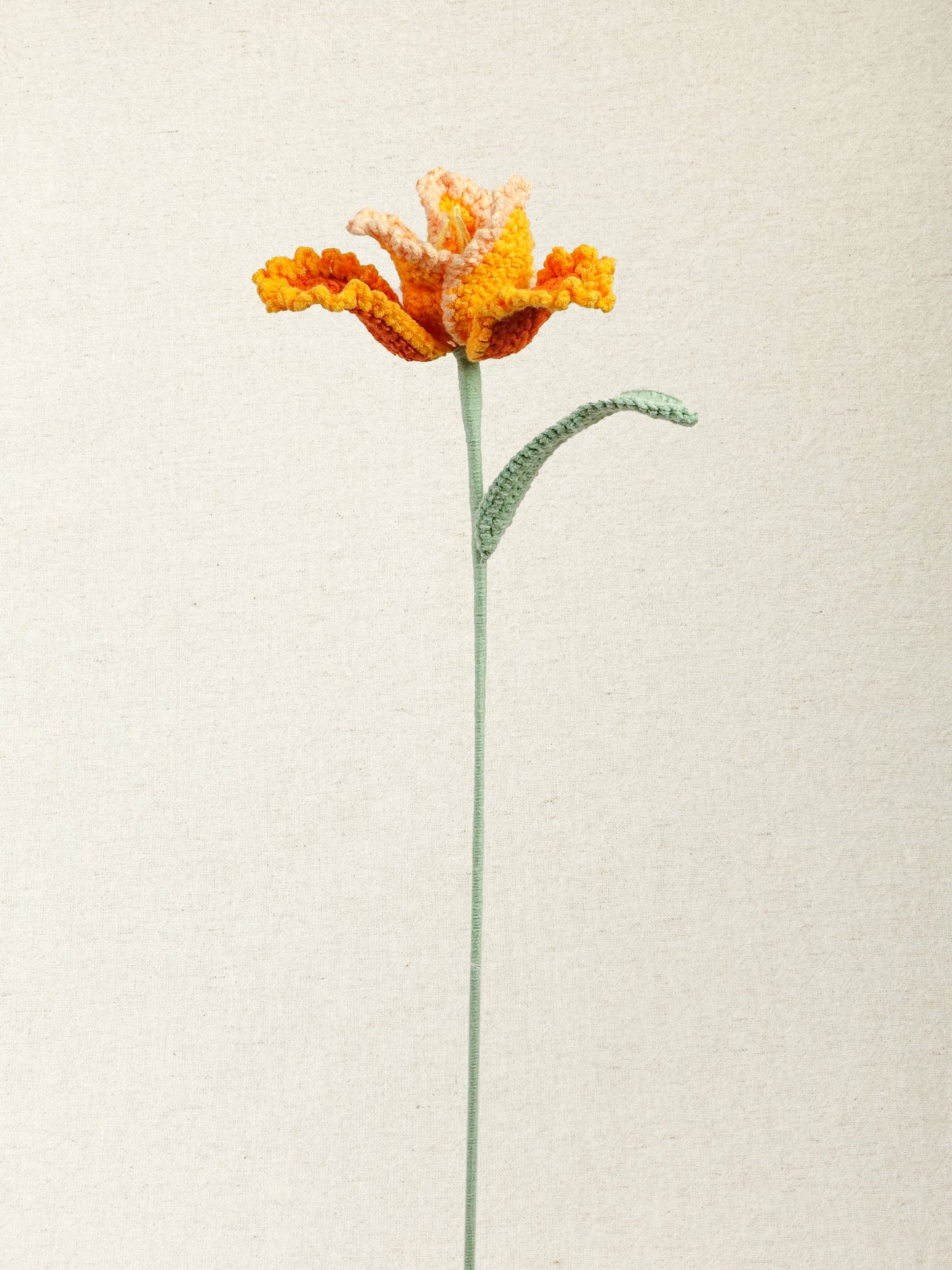Parrot Tulip · 2 colours